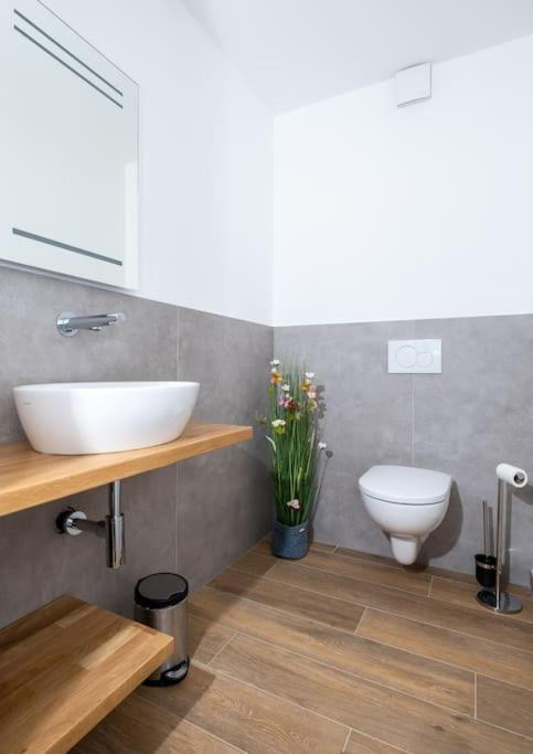 Ferienhaus Mountain View Six50 Mit Sauna Und Kamin In St. Andreasberg 圣安德里斯伯格 外观 照片