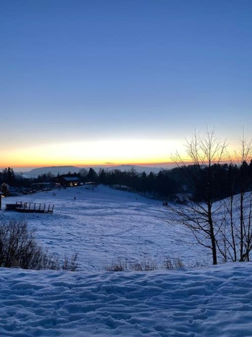 Ferienhaus Mountain View Six50 Mit Sauna Und Kamin In St. Andreasberg 圣安德里斯伯格 外观 照片