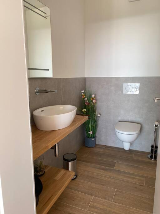 Ferienhaus Mountain View Six50 Mit Sauna Und Kamin In St. Andreasberg 圣安德里斯伯格 外观 照片